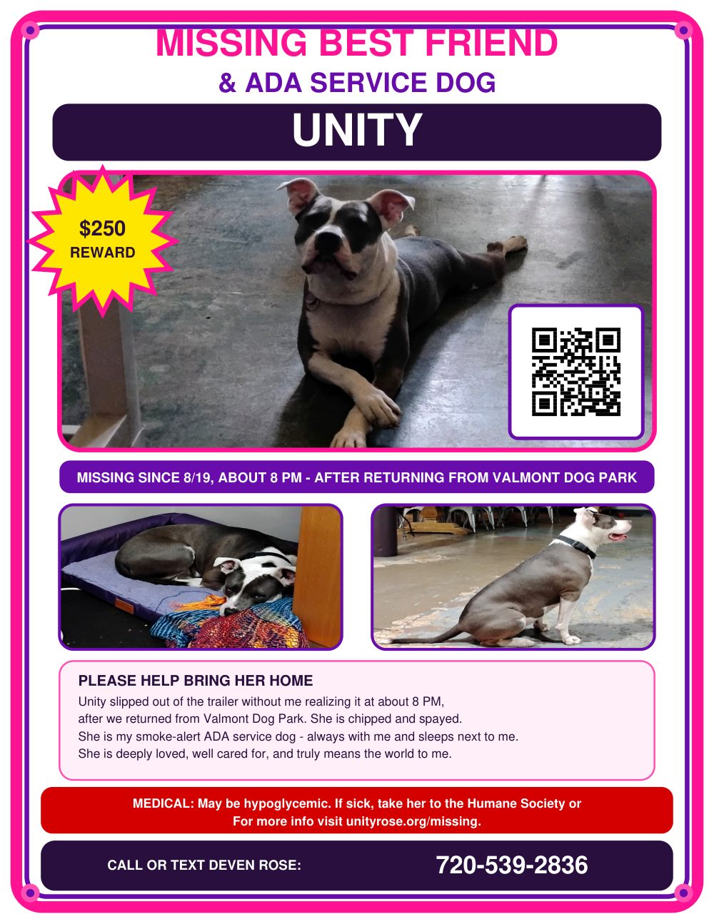 Missing dog flyer for Unity, a blue-and-white pit bull ADA service dog, missing since August 19 near Valmont Dog Park in Boulder. Call or text Deven Rose at 720-539-2836.